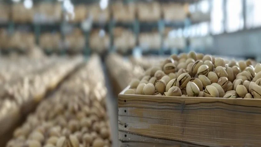 Our range includes cashew nuts, almonds, hazelnuts, pistachios, walnuts, and peanuts, carefully selected from trusted growers and processors. Each batch is thoroughly cleaned, graded, and packaged under strict hygiene standards to preserve natural flavor, freshness, and nutritional value